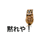 my zoo 001（個別スタンプ：14）
