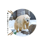 my zoo 001（個別スタンプ：17）