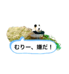 my zoo 001（個別スタンプ：26）