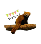 my zoo 001（個別スタンプ：27）
