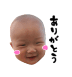 織田家のスタンプ（個別スタンプ：3）