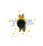 ぴーゆーじーZ（個別スタンプ：5）