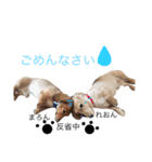 まろん＆れおん（個別スタンプ：4）