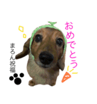 まろん＆れおん（個別スタンプ：16）