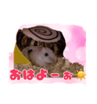 ゆみさん家のめろん（個別スタンプ：2）