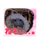 ゆみさん家のめろん（個別スタンプ：3）