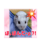 ゆみさん家のめろん（個別スタンプ：4）