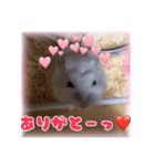 ゆみさん家のめろん（個別スタンプ：5）