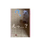 ゆみさん家のめろん（個別スタンプ：7）