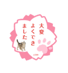 さち日和2（個別スタンプ：6）