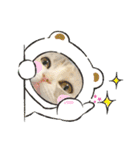 さち日和2（個別スタンプ：7）
