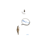さち日和2（個別スタンプ：21）