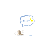 さち日和2（個別スタンプ：26）