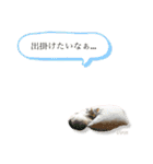 さち日和2（個別スタンプ：28）