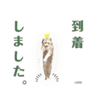 さち日和2（個別スタンプ：30）