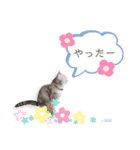 さち日和2（個別スタンプ：36）