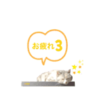 さち日和2（個別スタンプ：40）