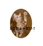 いもスタ1（個別スタンプ：1）