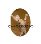 いもスタ1（個別スタンプ：6）