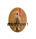 いもスタ1（個別スタンプ：8）