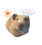 いやしのさく（個別スタンプ：3）