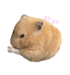 いやしのさく（個別スタンプ：5）