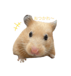 いやしのさく（個別スタンプ：6）