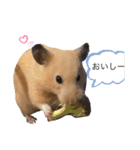 いやしのさく（個別スタンプ：13）