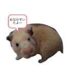 いやしのさく（個別スタンプ：16）