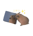 いやしのさく（個別スタンプ：17）