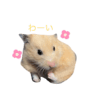 いやしのさく（個別スタンプ：24）