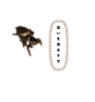 自然の生き物4（個別スタンプ：8）