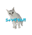 日常で使えるあずま語録6（個別スタンプ：23）