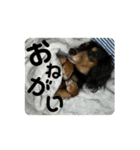るゔのすたんぷ1（個別スタンプ：10）