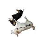 るゔのすたんぷ1（個別スタンプ：18）