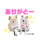 秋田犬あっことオクラと悟空（個別スタンプ：10）