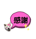 秋田犬あっことオクラと悟空（個別スタンプ：11）