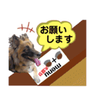 スージー＆海（個別スタンプ：1）