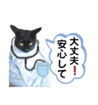 スージー＆海（個別スタンプ：4）