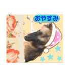スージー＆海（個別スタンプ：6）