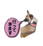 スージー＆海（個別スタンプ：15）