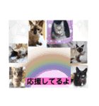 スージー＆海（個別スタンプ：16）