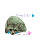 ぴぴちゃん2♡（個別スタンプ：1）