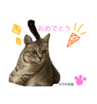 ぴぴちゃん2♡（個別スタンプ：7）