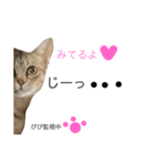 ぴぴちゃん2♡（個別スタンプ：9）