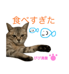 ぴぴちゃん2♡（個別スタンプ：14）