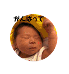 ★あおとスタンプ★★（個別スタンプ：6）