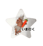 ★あおとスタンプ★★（個別スタンプ：14）