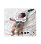★あおとスタンプ★★（個別スタンプ：26）