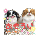 ある狆たちのくらし（個別スタンプ：1）